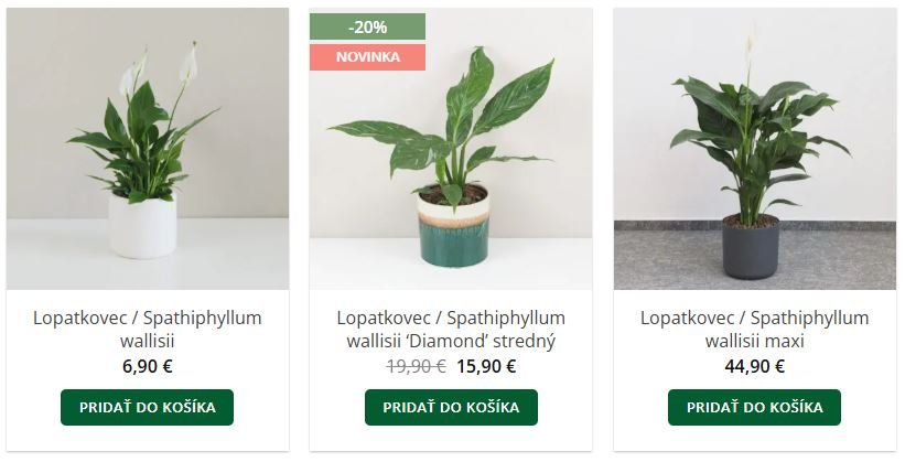 Lopatkovce v eshope Plantizia