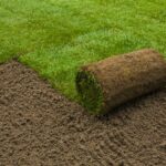 Trávnikový koberec - zelený trávnik na záhrade do niekoľkých dní - ako na to?