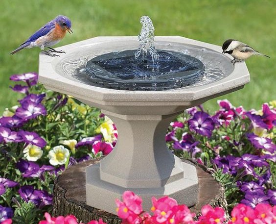 Solárna fontána pre vtákov