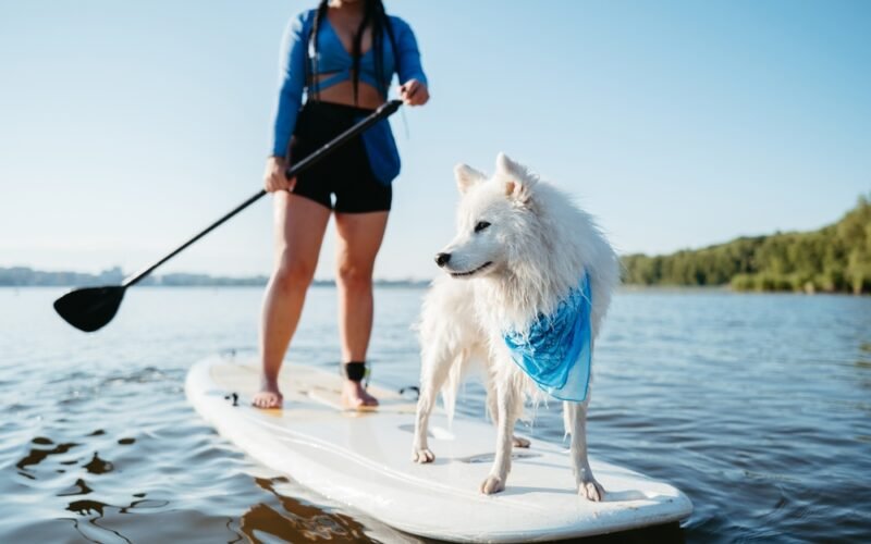 Žena na paddleboarde s bielym psom vpredu