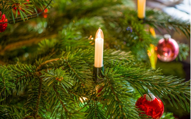LED sviečky na vianočnom stromčeku