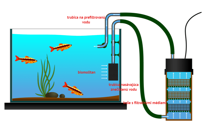 Fungovanie externého filtra do akvária