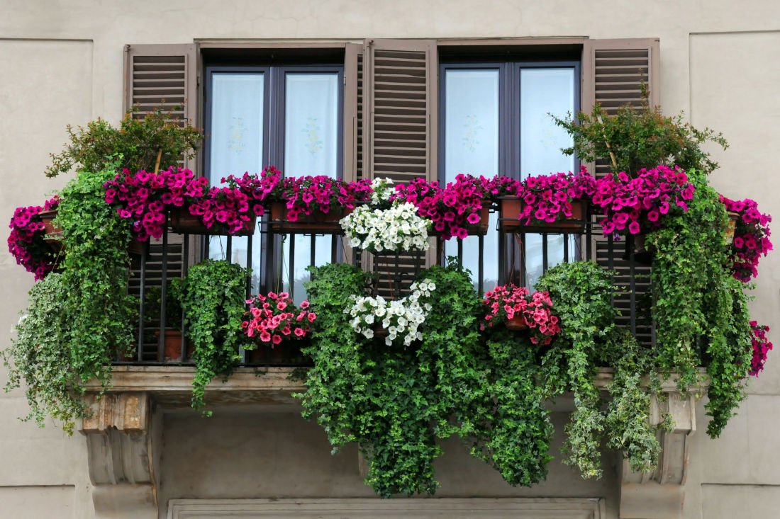 Kvety na balkóne