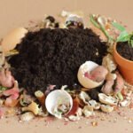 Domáce hnojivo - ilustračný obrázok: izbová kvetina v kvetináči a naokolo je rôzny kuchynský odpad