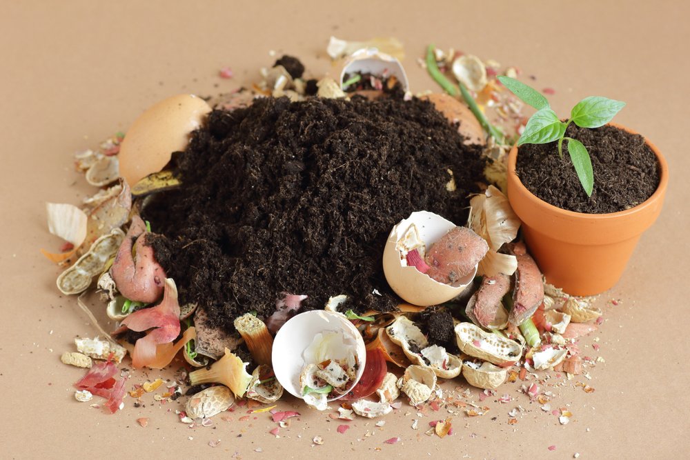 Domáce hnojivo - ilustračný obrázok: izbová kvetina v kvetináči a naokolo je rôzny kuchynský odpad
