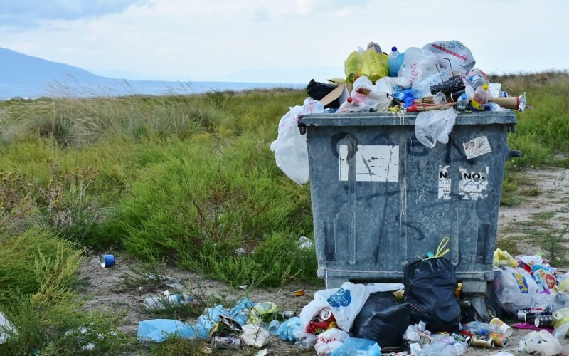 Zero Waste domácnosť - recyklujte správne