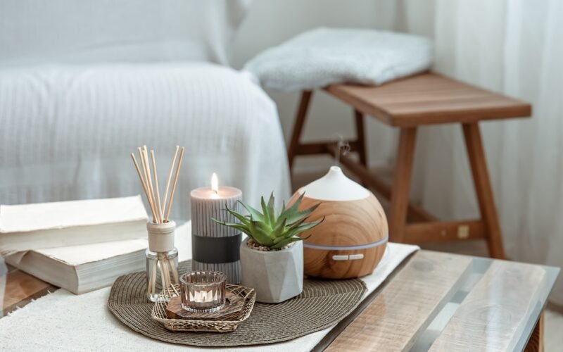Vône v domácnosti - vonné tyčinky, aróma difuzér, sviečka a aloe vera ako dekorácia
